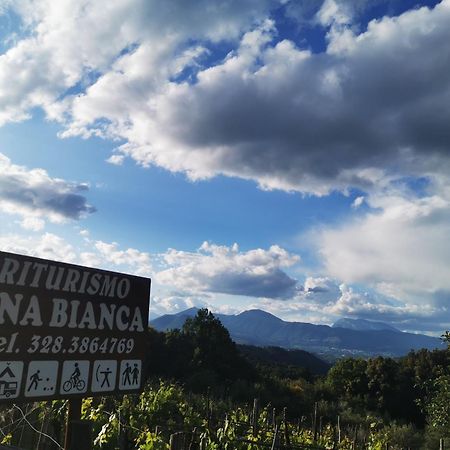 Agriturismo Donna Bianca Mormanno Kültér fotó