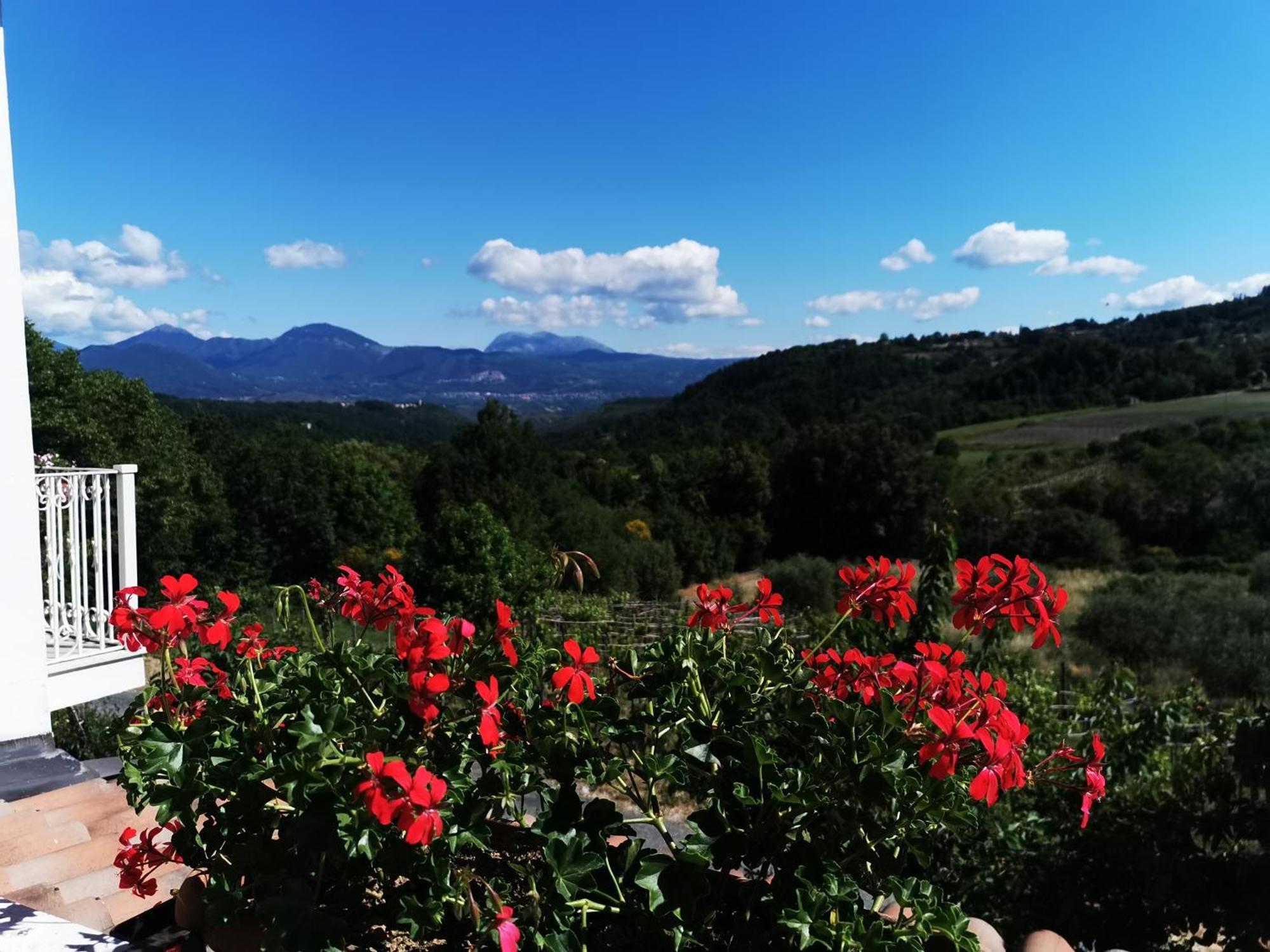 Agriturismo Donna Bianca Mormanno Kültér fotó