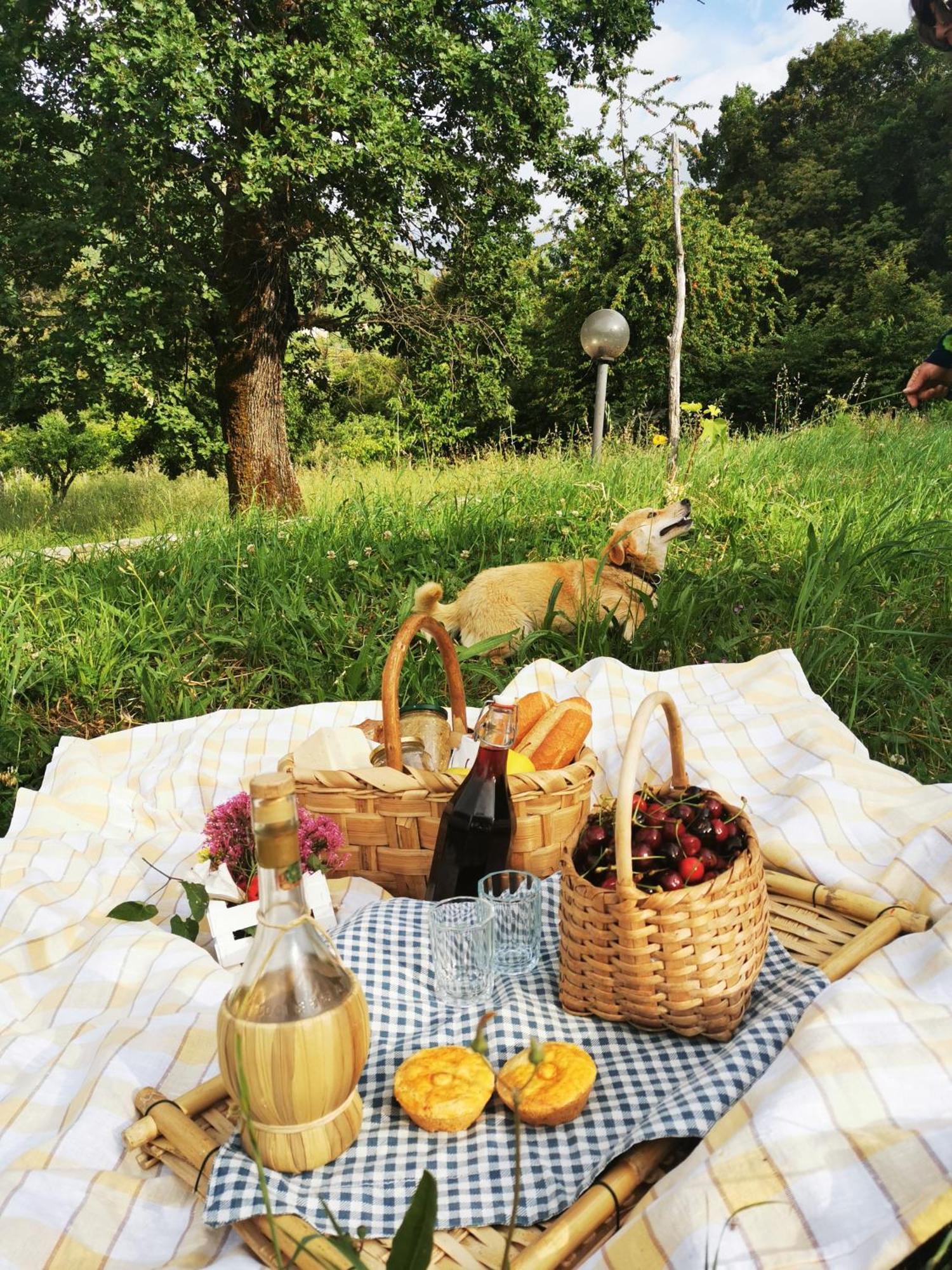 Agriturismo Donna Bianca Mormanno Kültér fotó