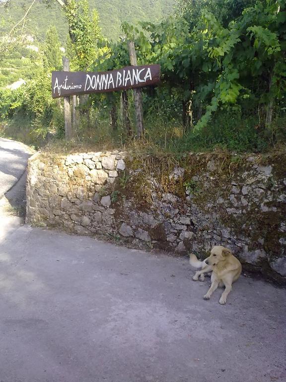 Agriturismo Donna Bianca Mormanno Kültér fotó